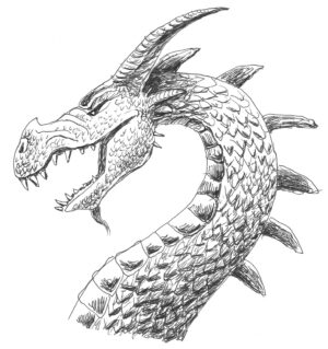 Dragon drawing